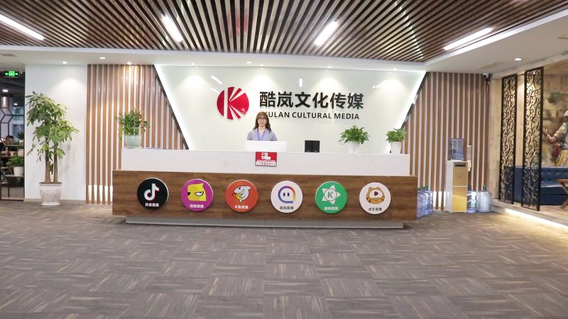 服装品牌VI设计尺寸规范：揭秘品牌形象背后的尺寸奥秘