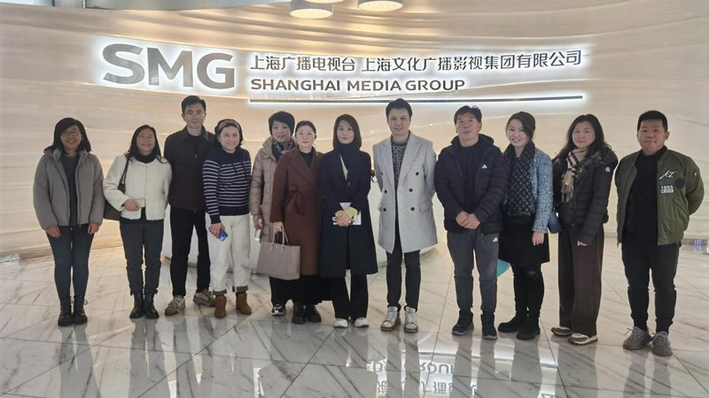 VI设计代理加盟：揭秘价格背后的价值**