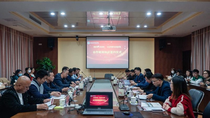 上海mg动画素材免费下载：揭秘优质资源的获取之道