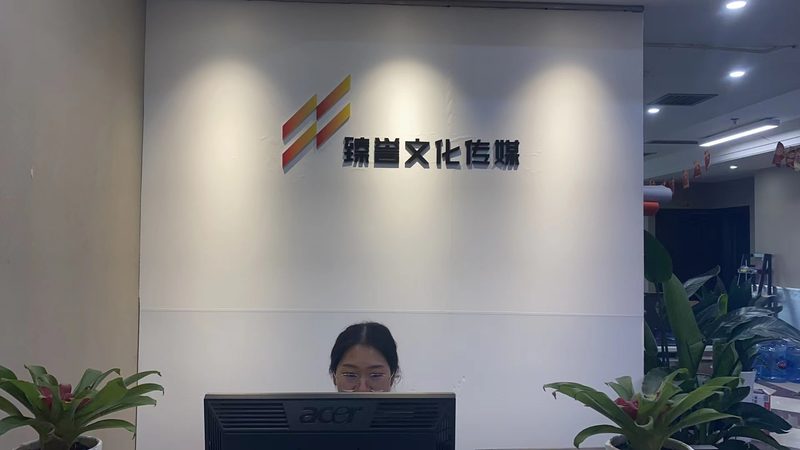 mg动画制作公司资质要求：合规之路上的关键要素**